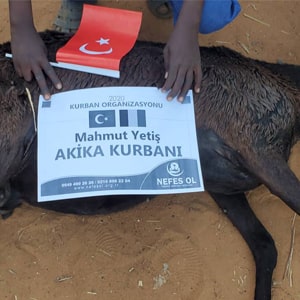Sadaka Kurbanı