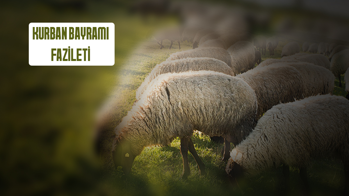 Kurban Bayramı Fazileti